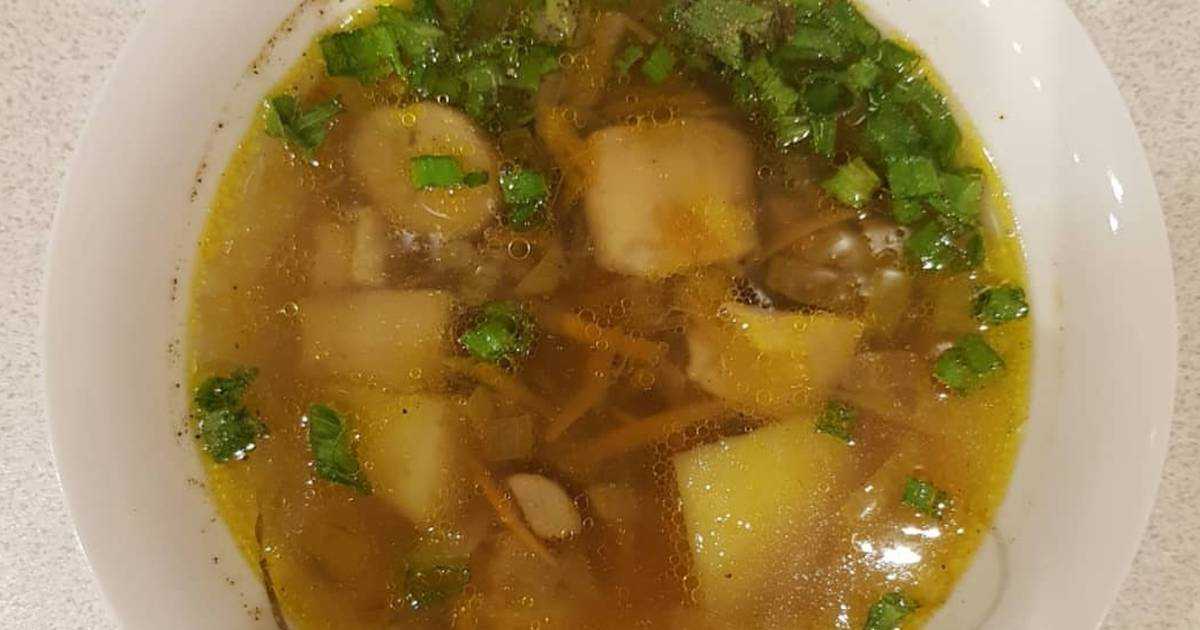 Суп из замороженных белых грибов- аромат вкуса из давних времен: рецепт с фото и видео