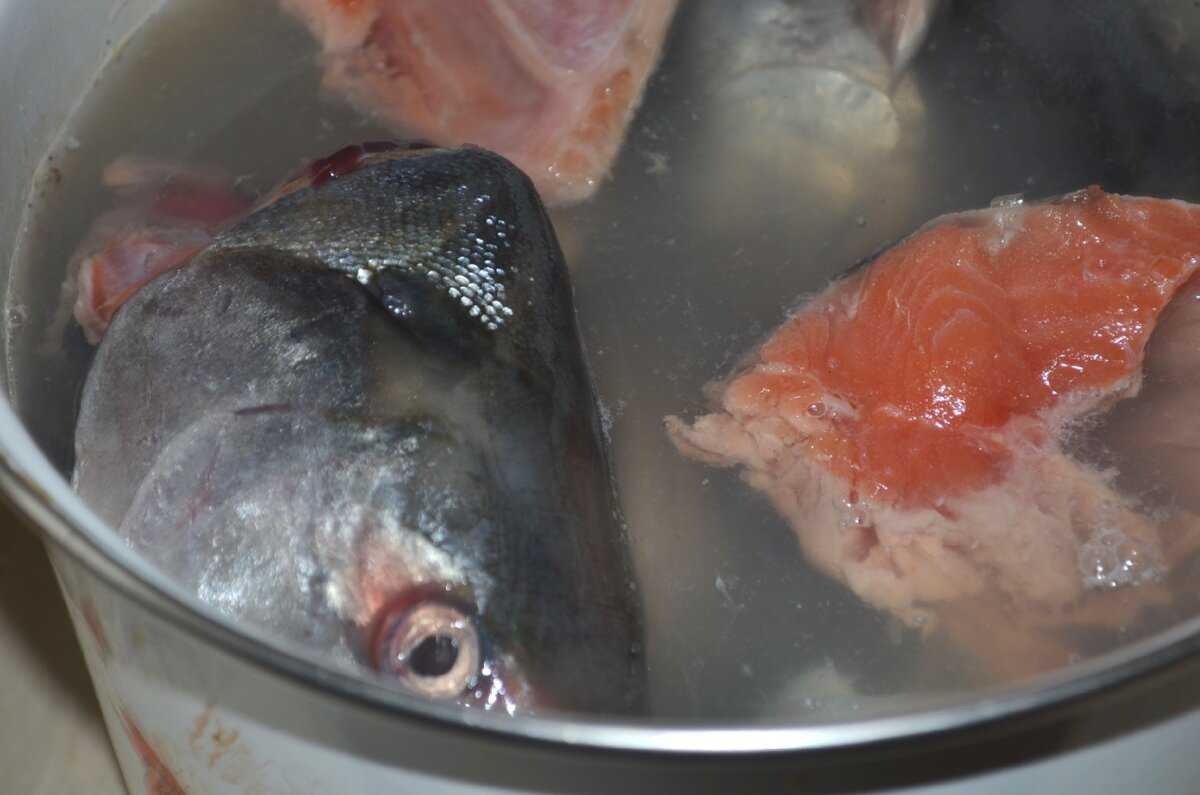 Кета рыба рецепты приготовления на сковороде с фото пошагово