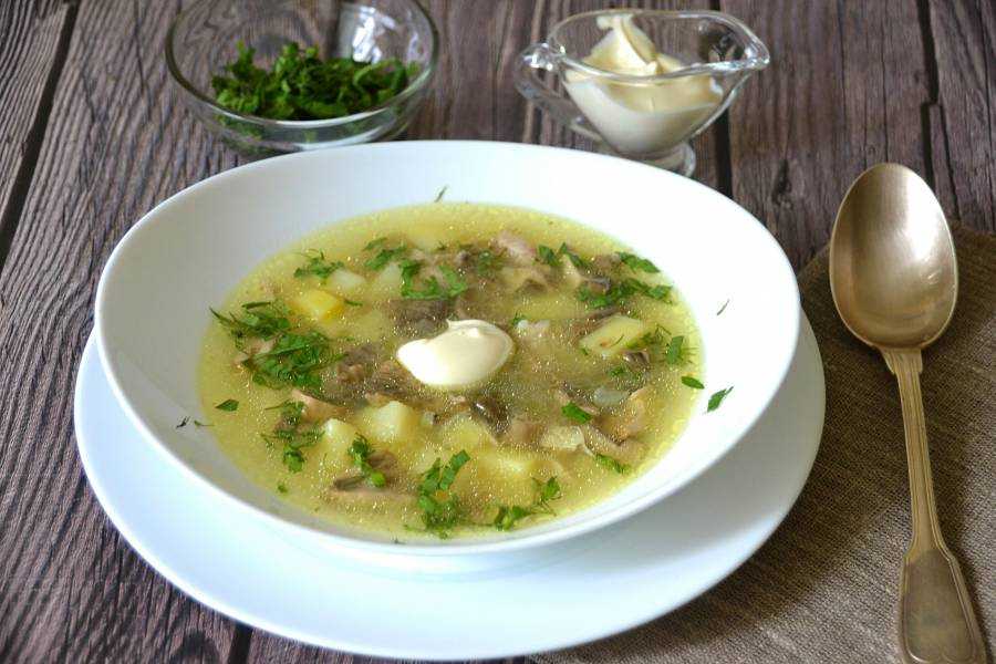 Как приготовить белый суп курица с плавленным сыром и картошкой с грибами: поиск по ингредиентам, советы, отзывы, пошаговые фото, подсчет калорий, изменение порций, похожие рецепты