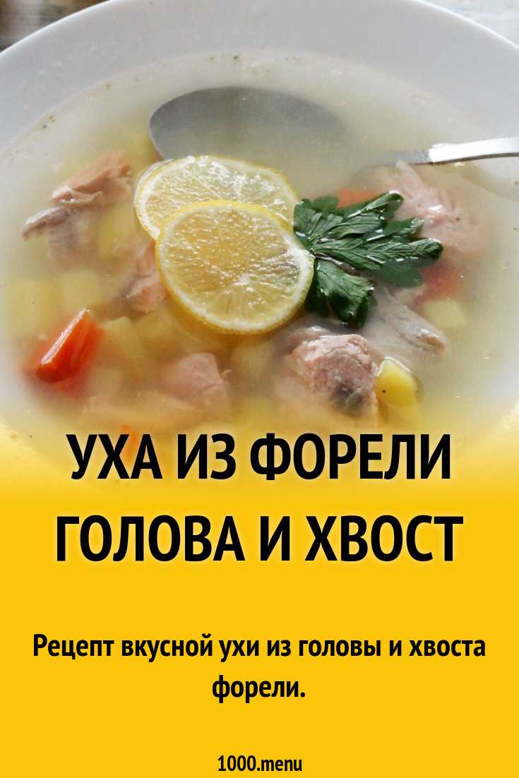 Уха из головы форели со сливками рецепт с фото пошагово - 1000.menu