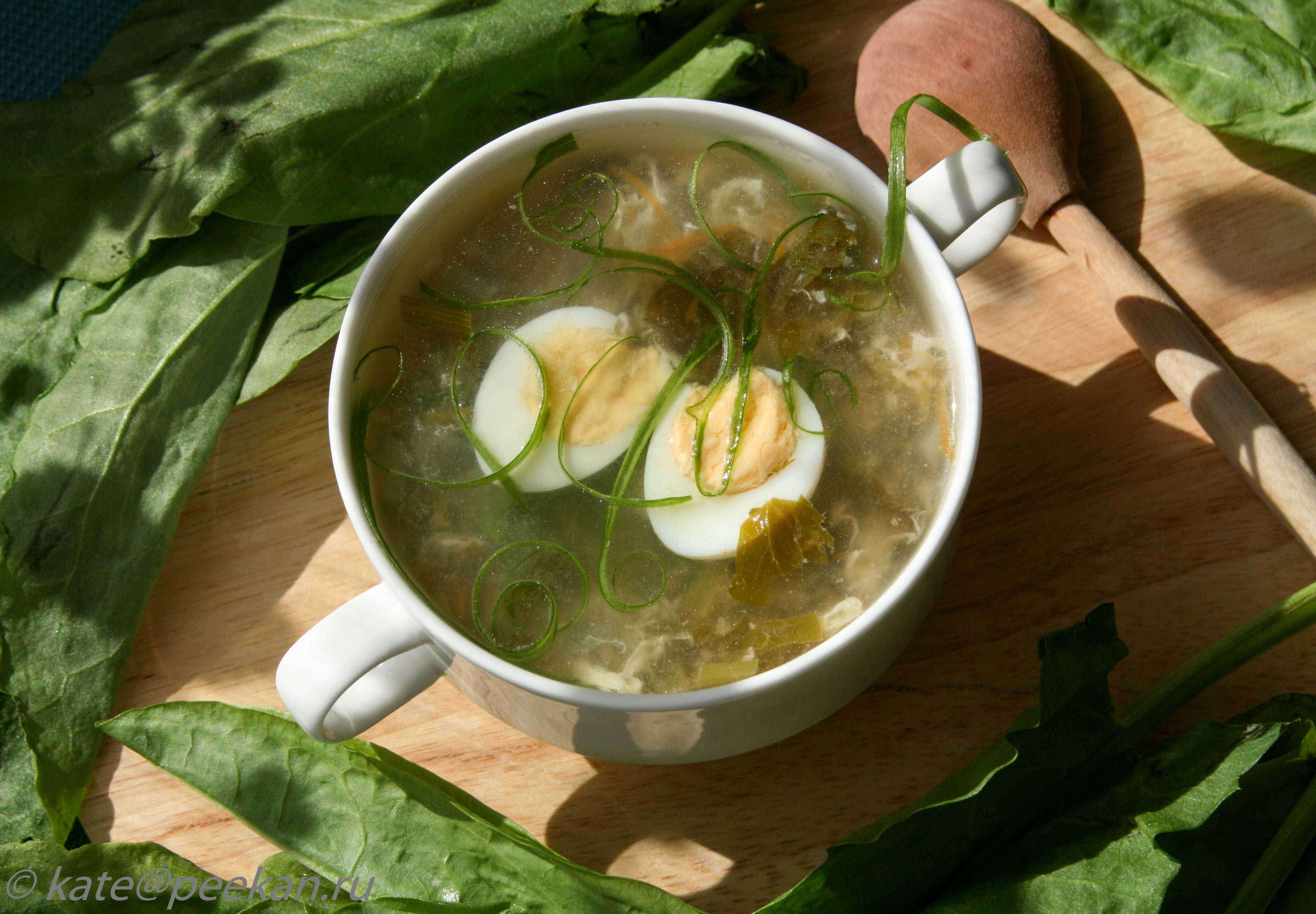Щавелевый суп с яйцом — 12 классических рецептов супа со щавелем