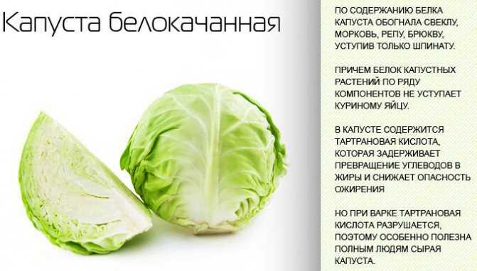 Супы для похудения - самые эффективные и полезные рецепты