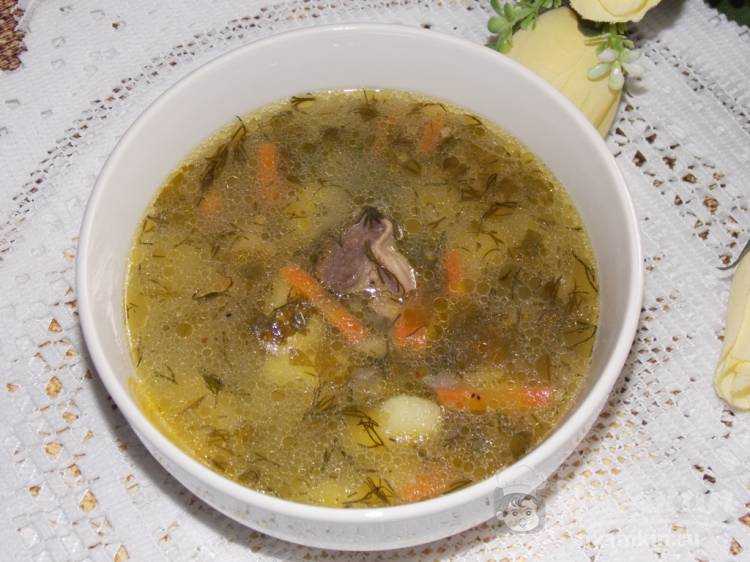Суп из куриных желудков — 8 рецептов
