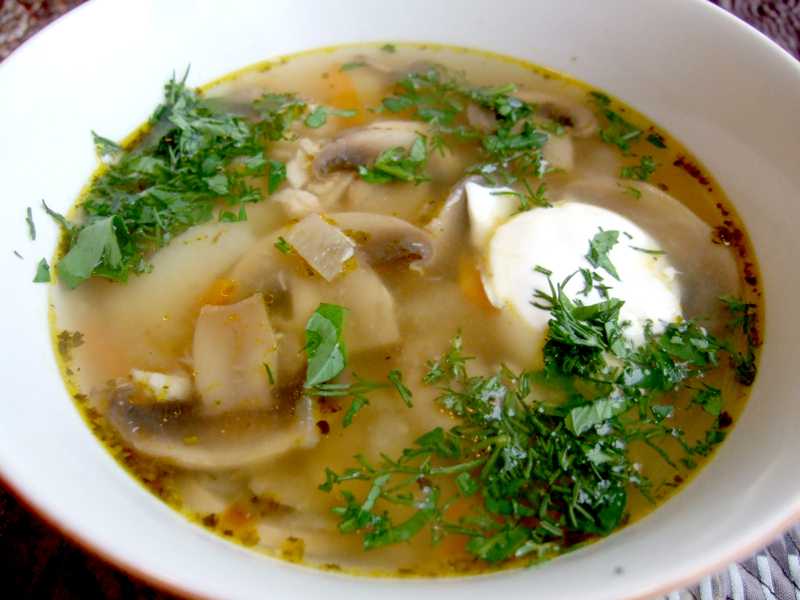Грибной суп на курином бульоне с картошкой, рецепт с фото