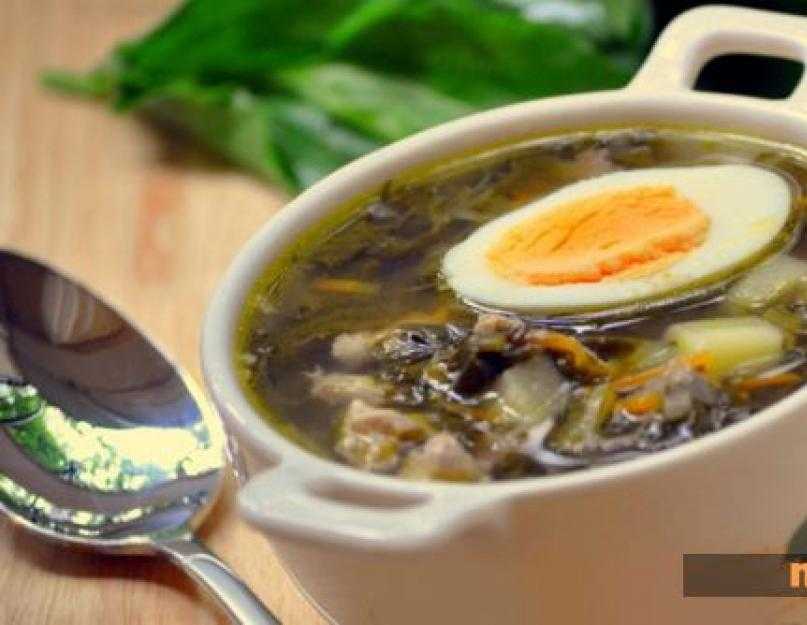 Зелёный борщ с щавелем и яйцом: рецепт классический с мясом