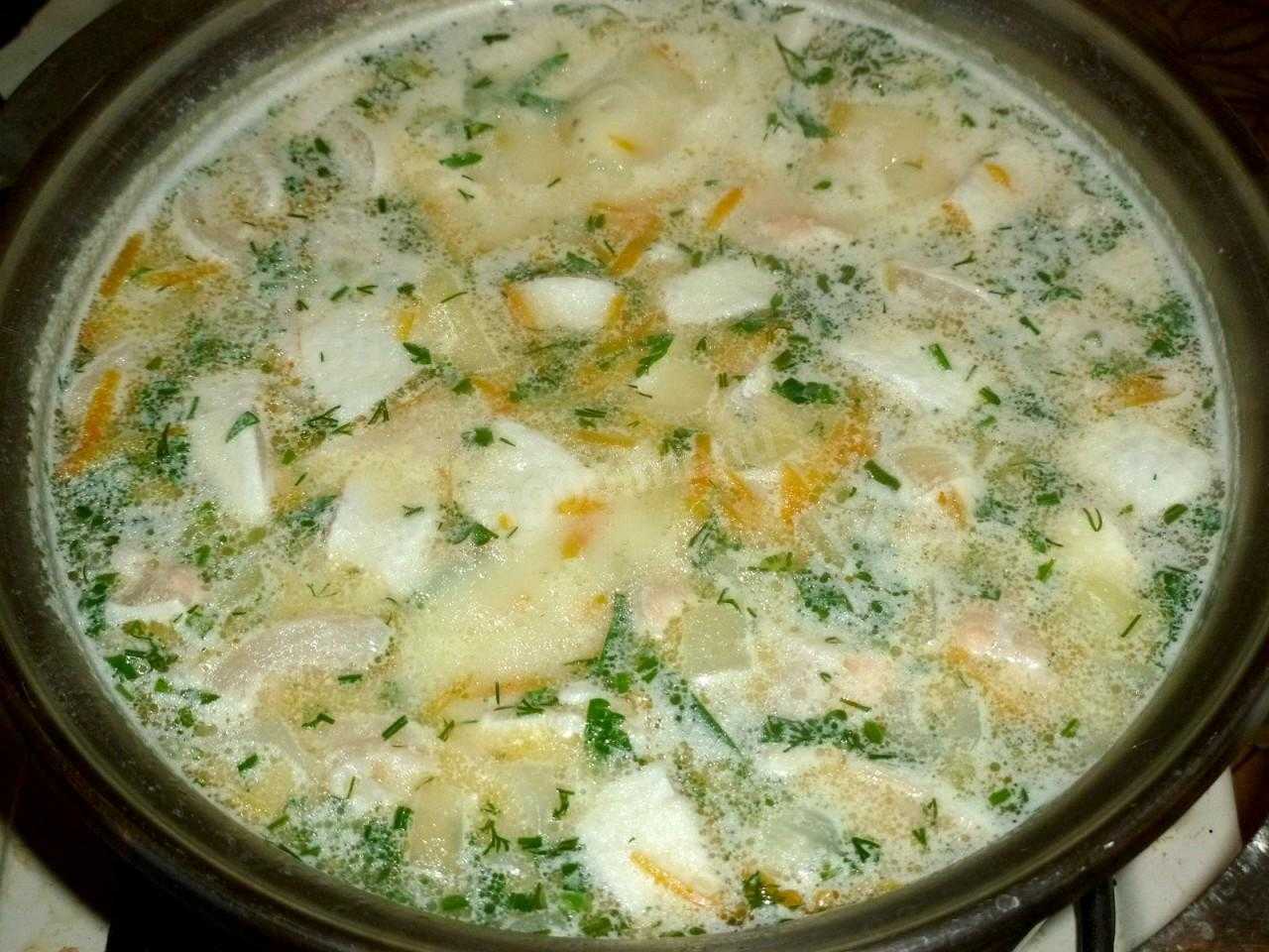 Крем-суп из семги со сливками - 7 пошаговых фото в рецепте