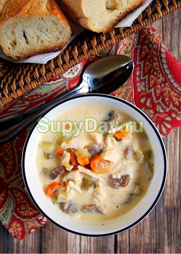 Грибной суп из шампиньонов с плавленным сыром - оригинальный и неповторимый вкус: рецепт с фото и видео