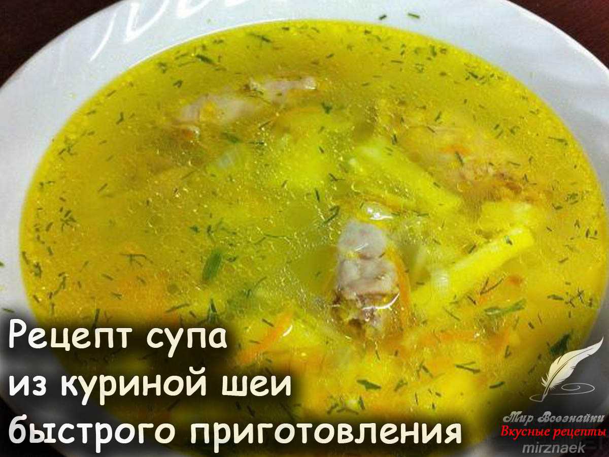 Можно ли куриную шейку в суп