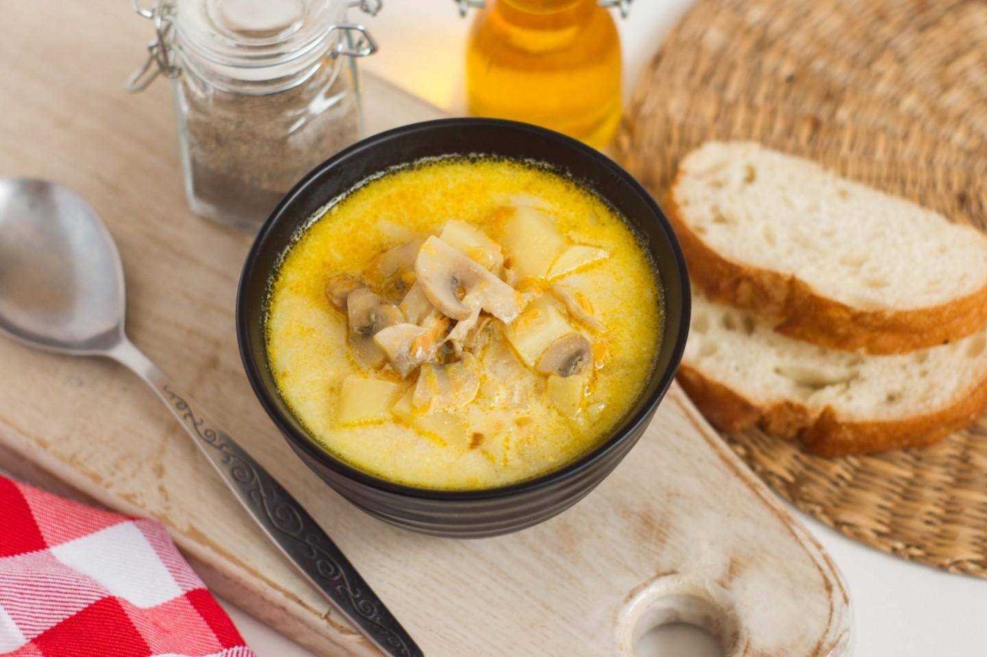 Суп с грибами и плавленным сыром – нежный вкус французской кухни: рецепт с фото и видео