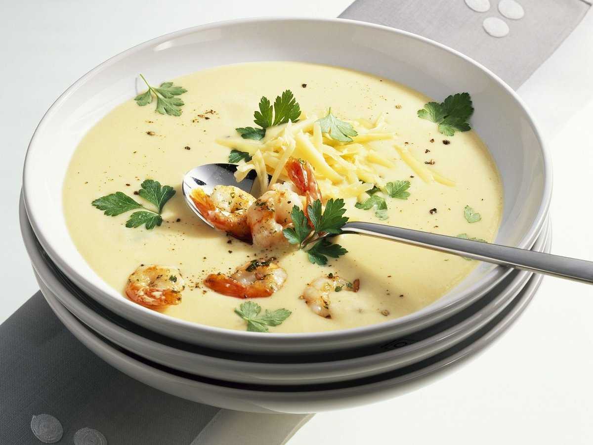 Сырный суп с плавленым сырком: 7 простых и вкусных рецептов на каждый день 