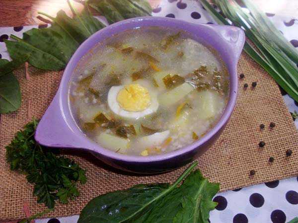 Щавелевый суп – классические рецепты супа из щавеля с яйцом - будет вкусно! - медиаплатформа миртесен
