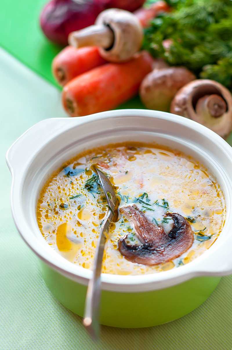Куриный суп с грибами – готовить вкусно и легко: рецепт с фото и видео