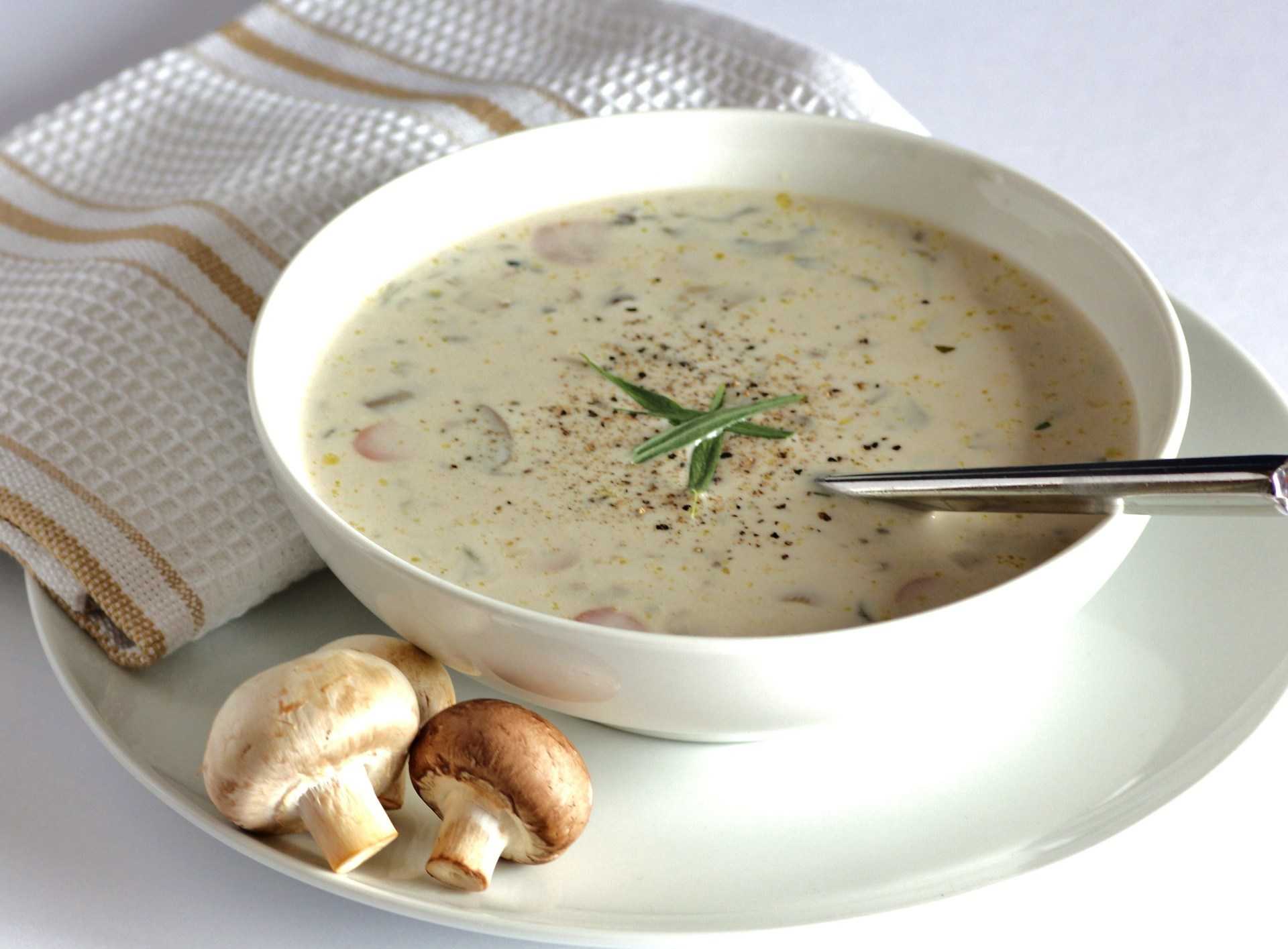 Крем суп из грибов — французская кухня на вашем столе: рецепт с фото и видео