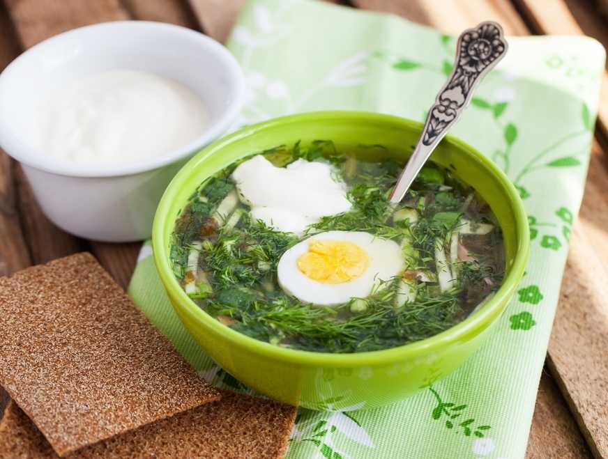 Суп из крапивы картинки