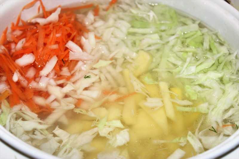 Лучшие рецепты приготовления супа, борща и других первых блюд с пекинской капустой