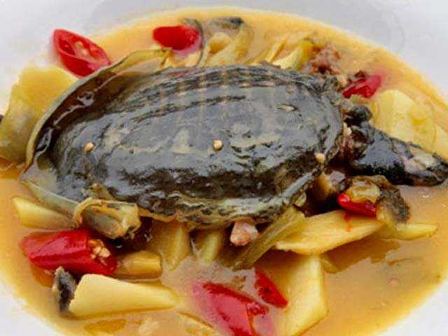Черепаховый суп рецепт с фото