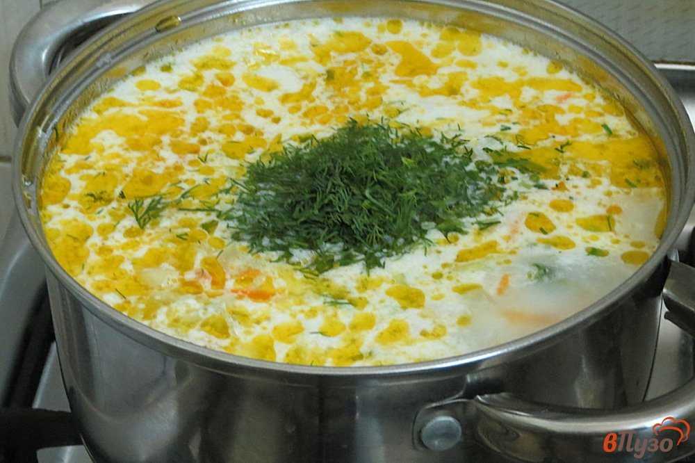 Суп с консервированной фасолью с мясом: ингредиенты, рецепт с фото