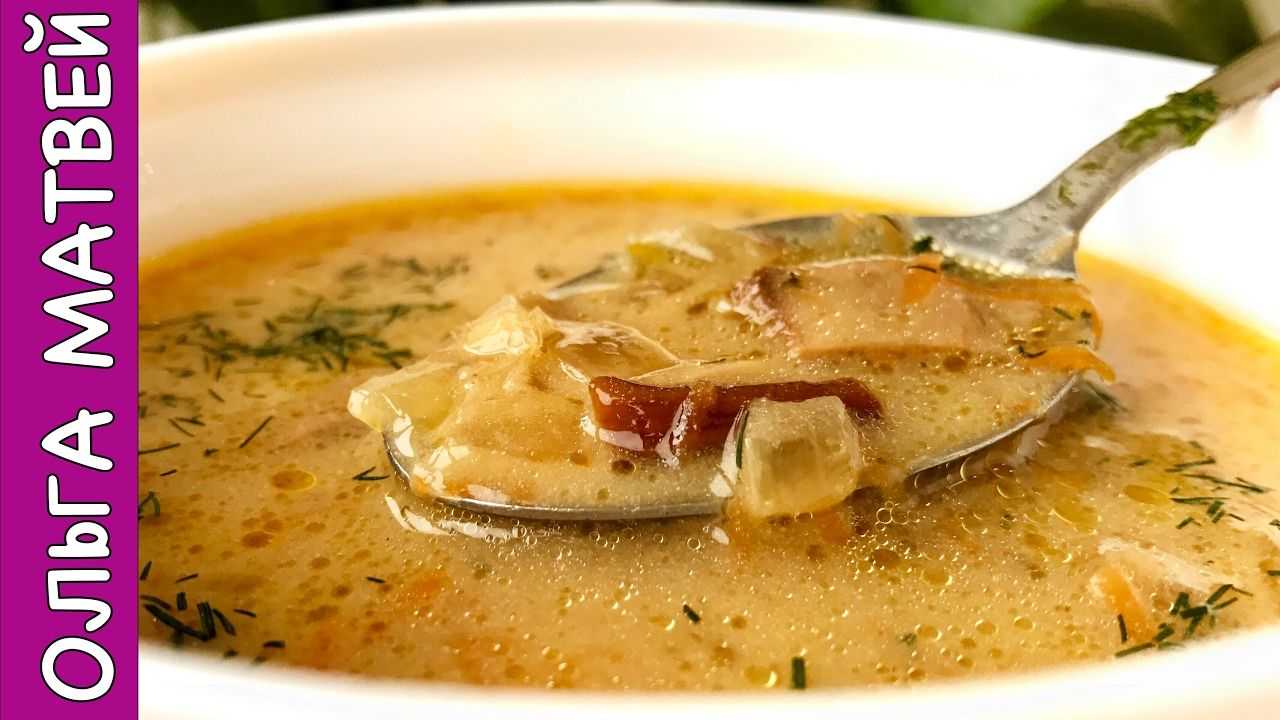 Грибной суп из сушеных грибов — самые вкусные рецепты