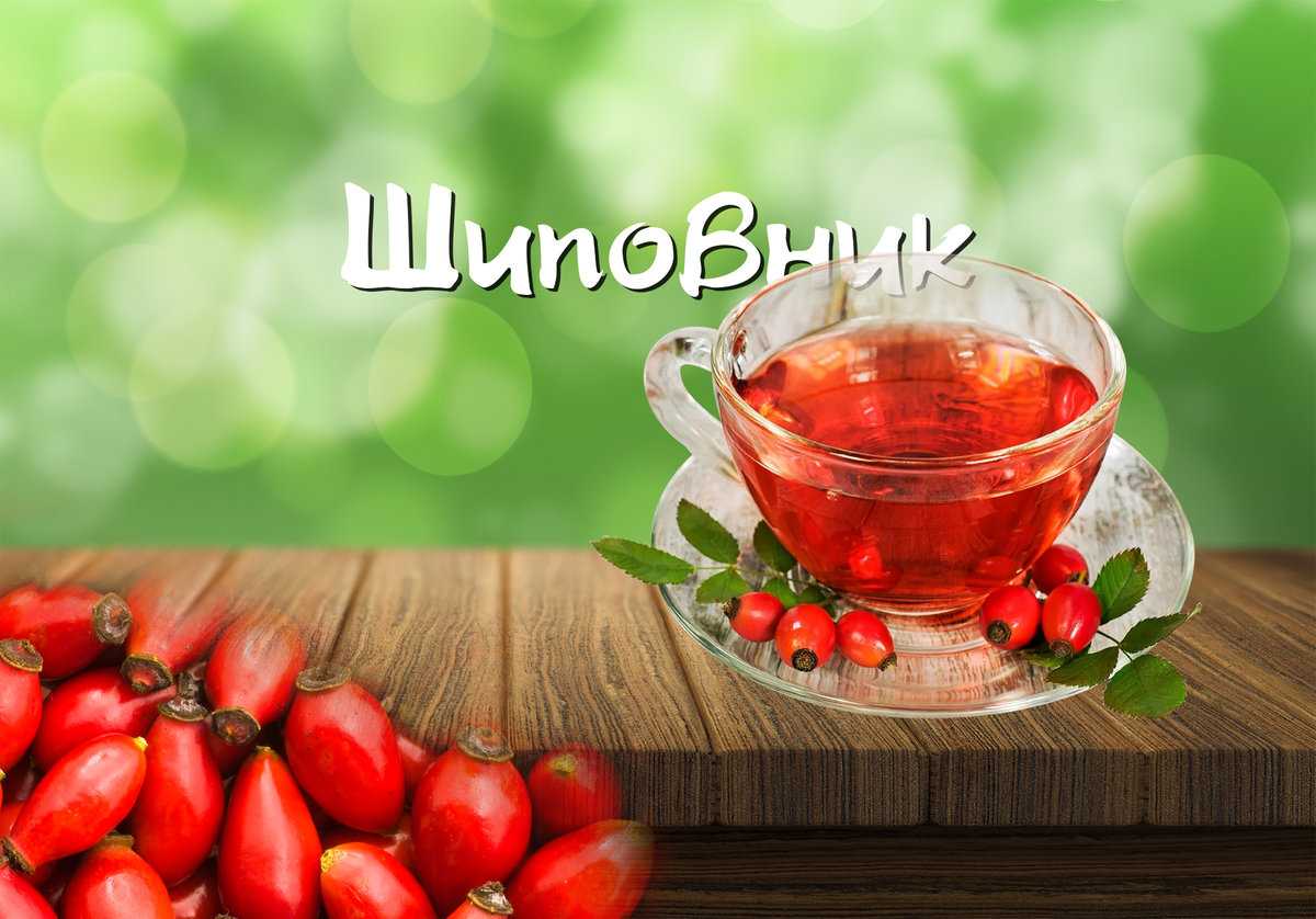 Суп из шиповника