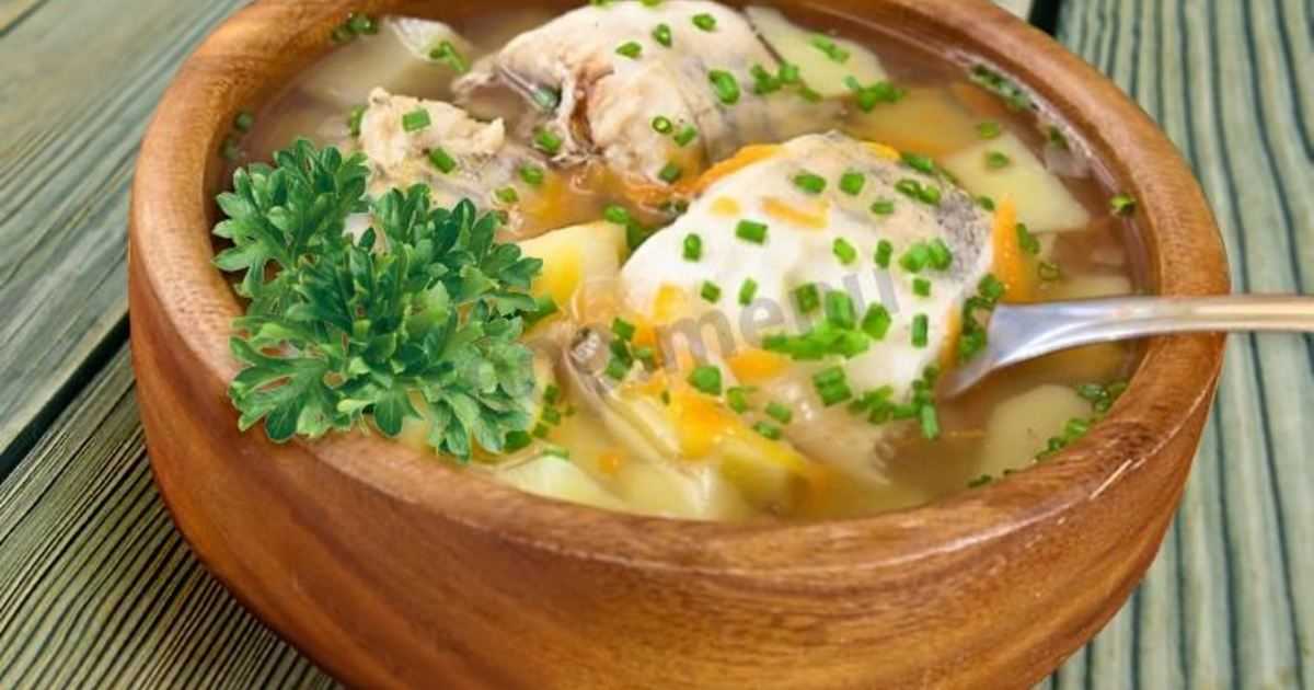 Уха из стерляди – ни с чем несравнимый вкус и аромат рыбного супа. как приготовить вкусную уху из стерляди - автор екатерина данилова - журнал женское мнение