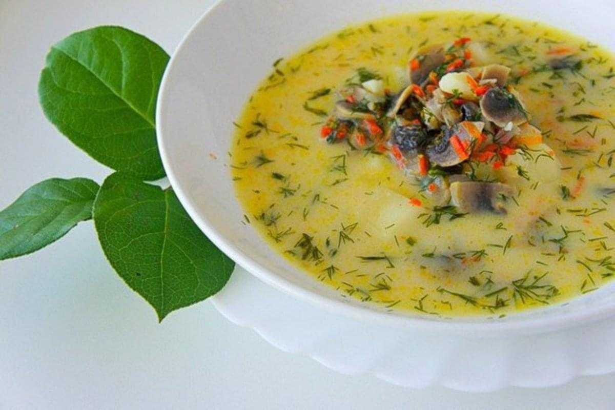 Грибной суп с сыром - 36 рецептов приготовления пошагово - 1000.menu