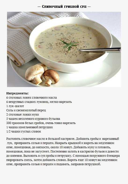 Сколько по времени нужно варить грибной суп из шампиньонов