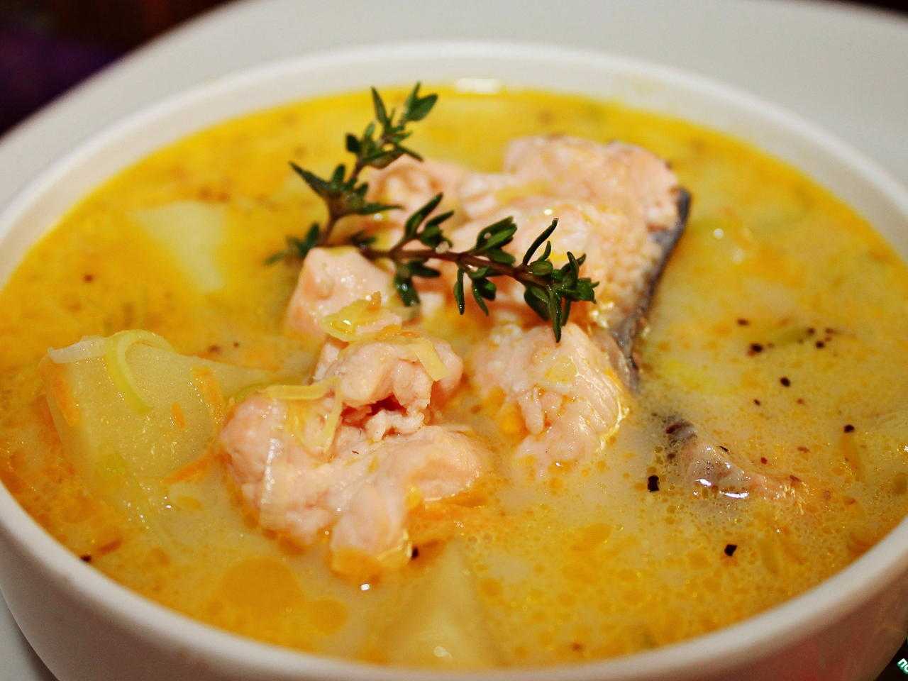 Рецепт рыбного супа со сливками высоцкой