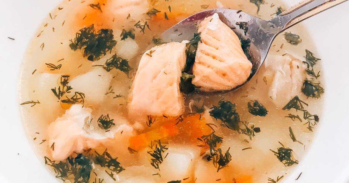 Простой рецепт вкусной и полезной ухи из судака