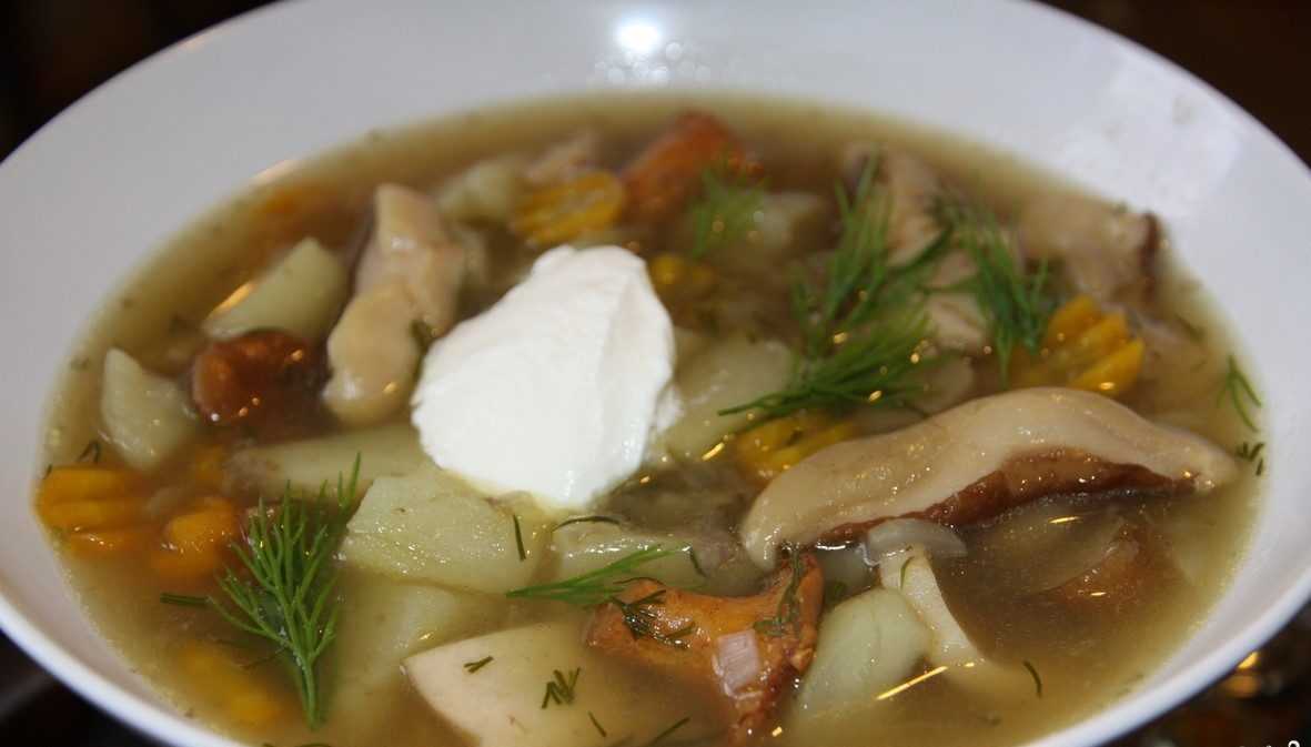 Грибные супы, 334 рецепта, фото-рецепты / готовим.ру