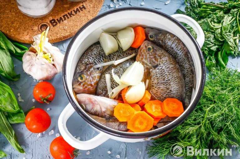 Рыбный суп уха из речной рыбы рецепт с фото пошагово - 1000.menu