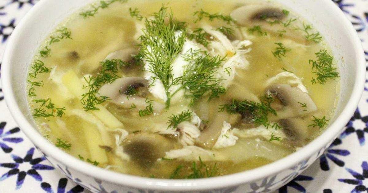 30 лучших рецептов супов из курицы и ароматного куриного бульона