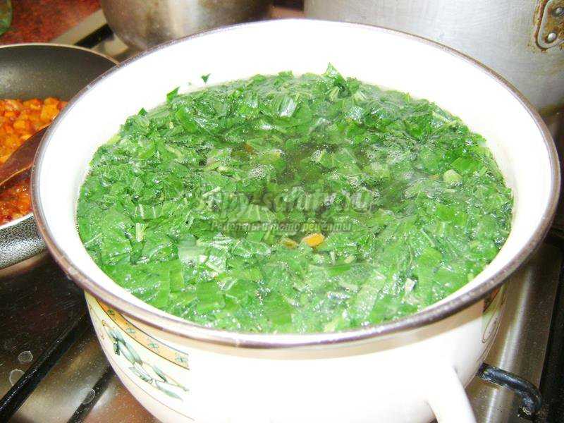 Зеленый борщ с крапивой пошаговый рецепт с фото