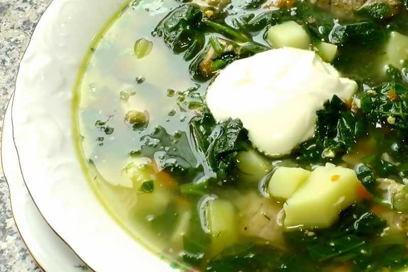 Щавелевый суп — 6 рецептов оригинального супа