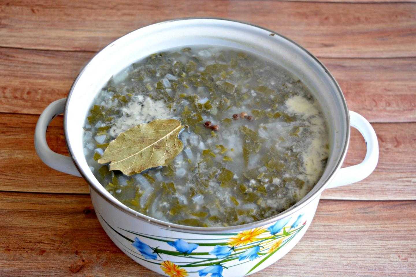 Щи из щавеля с яйцом и курицей рецепт с фото пошагово с фото