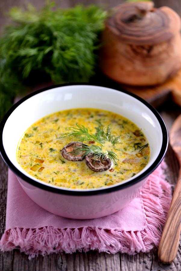 Суп из маслят: рецепты приготовления на свежих, замороженных и сушеных грибах в домашних условиях