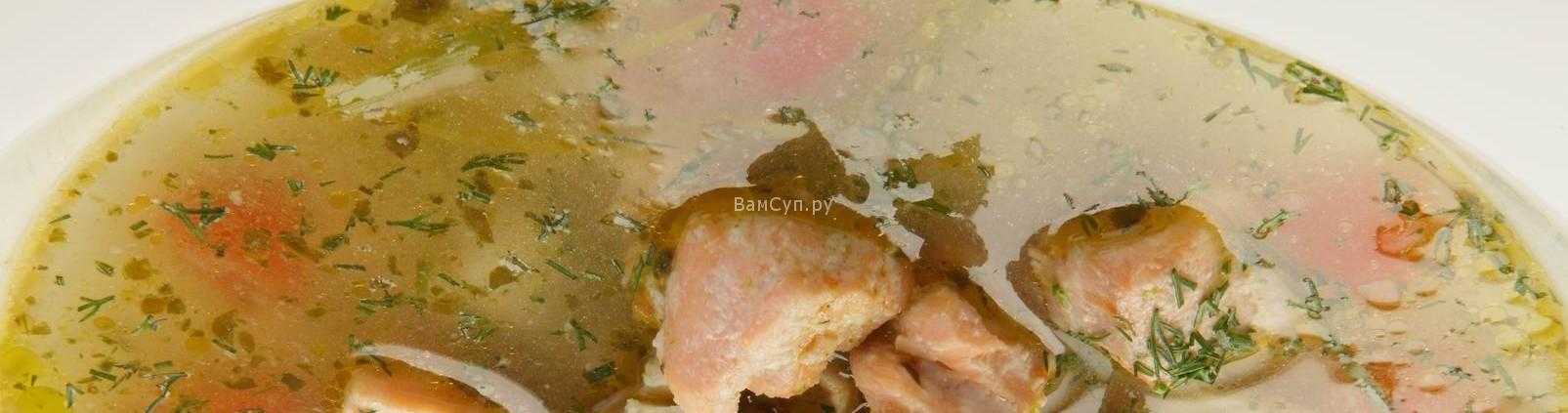 Суп из кеты – быстрый и очень вкусный обед: рецепт с фото и видео