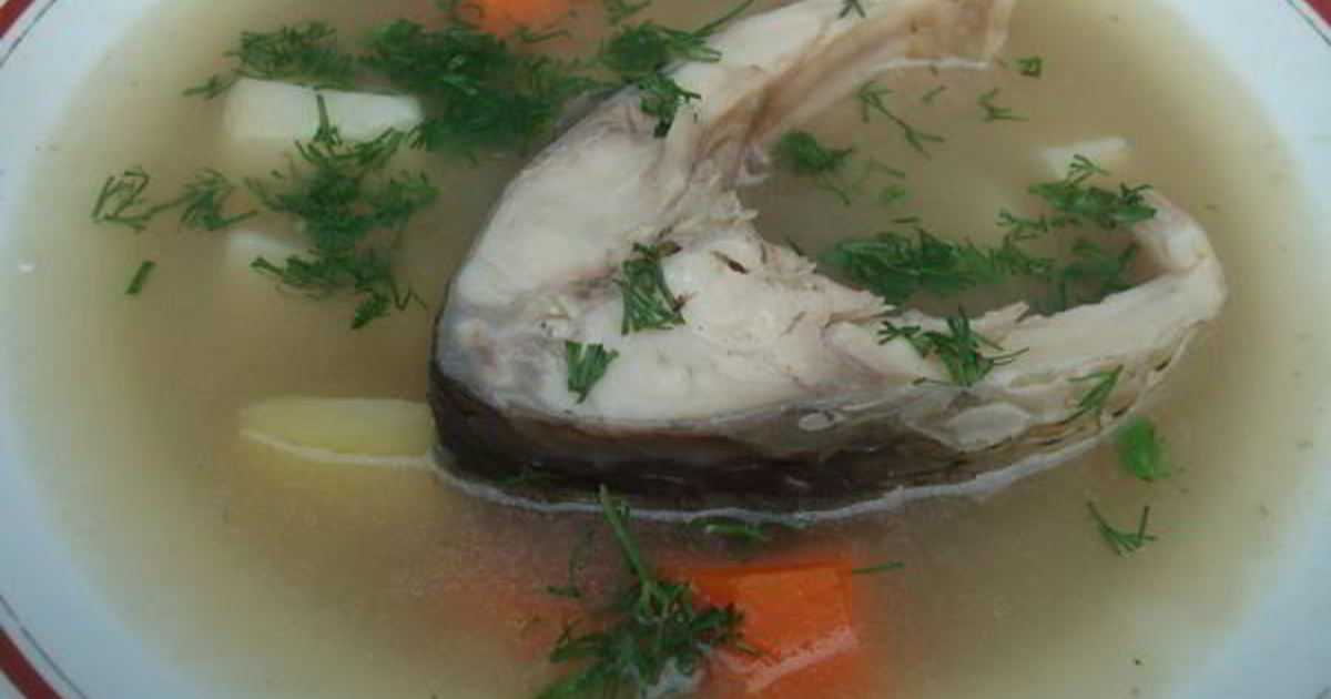 Рыбный суп из карпа с крупой