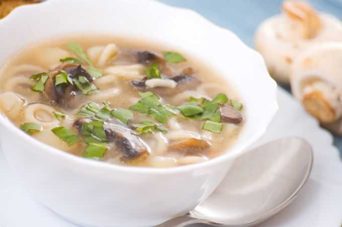 Грибной суп — 213 домашних вкусных рецепта приготовления