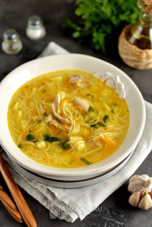 Куриный суп с вермишелью и картофелем: рецепты