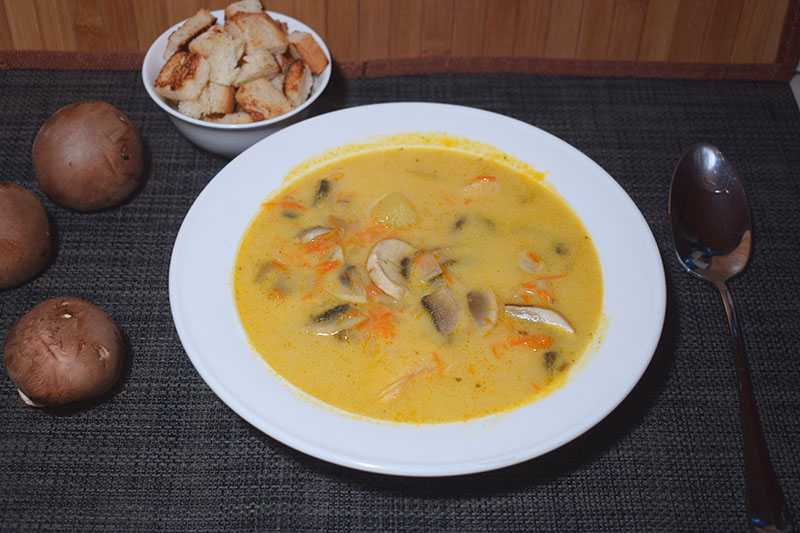 Куриный суп с шампиньонами и плавленным сыром рецепт с фото пошагово - 1000.menu