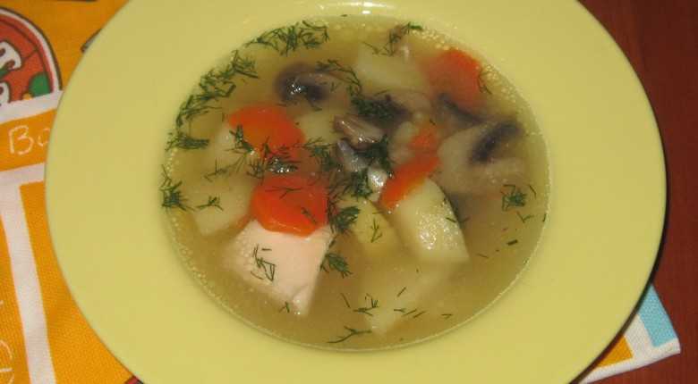 Грибные супы с шампиньонами на курином бульоне: фото и рецепты, как приготовить вкусные первые блюда