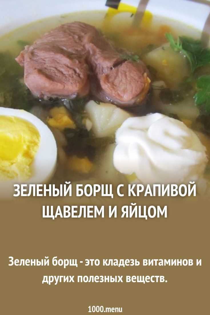 Супы из крапивы: как варить суп из крапивы с яйцом