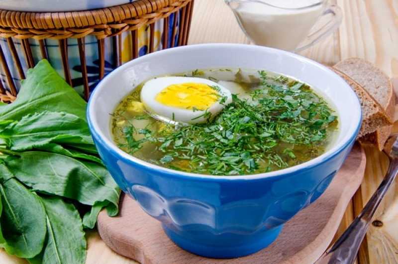 Зеленый борщ с щавелем и яйцом — 9 простых и вкусных рецептов зеленого борща