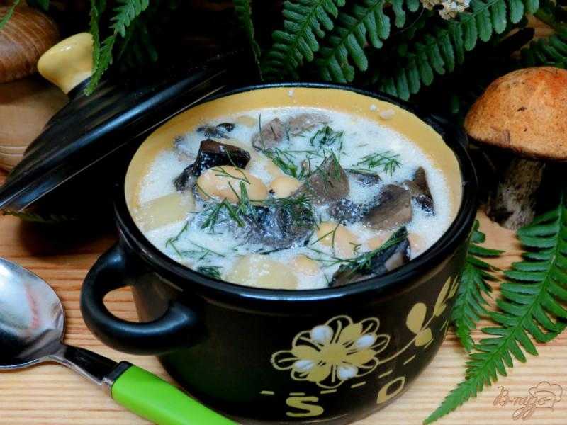 Суп с грибами и фасолью рецепт с фото пошагово - 1000.menu