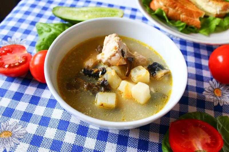 Грибной суп с сыром - 36 домашних вкусных рецептов приготовления