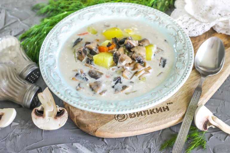 10 сырных супов с курицей, вкуснее которых вы еще не ели