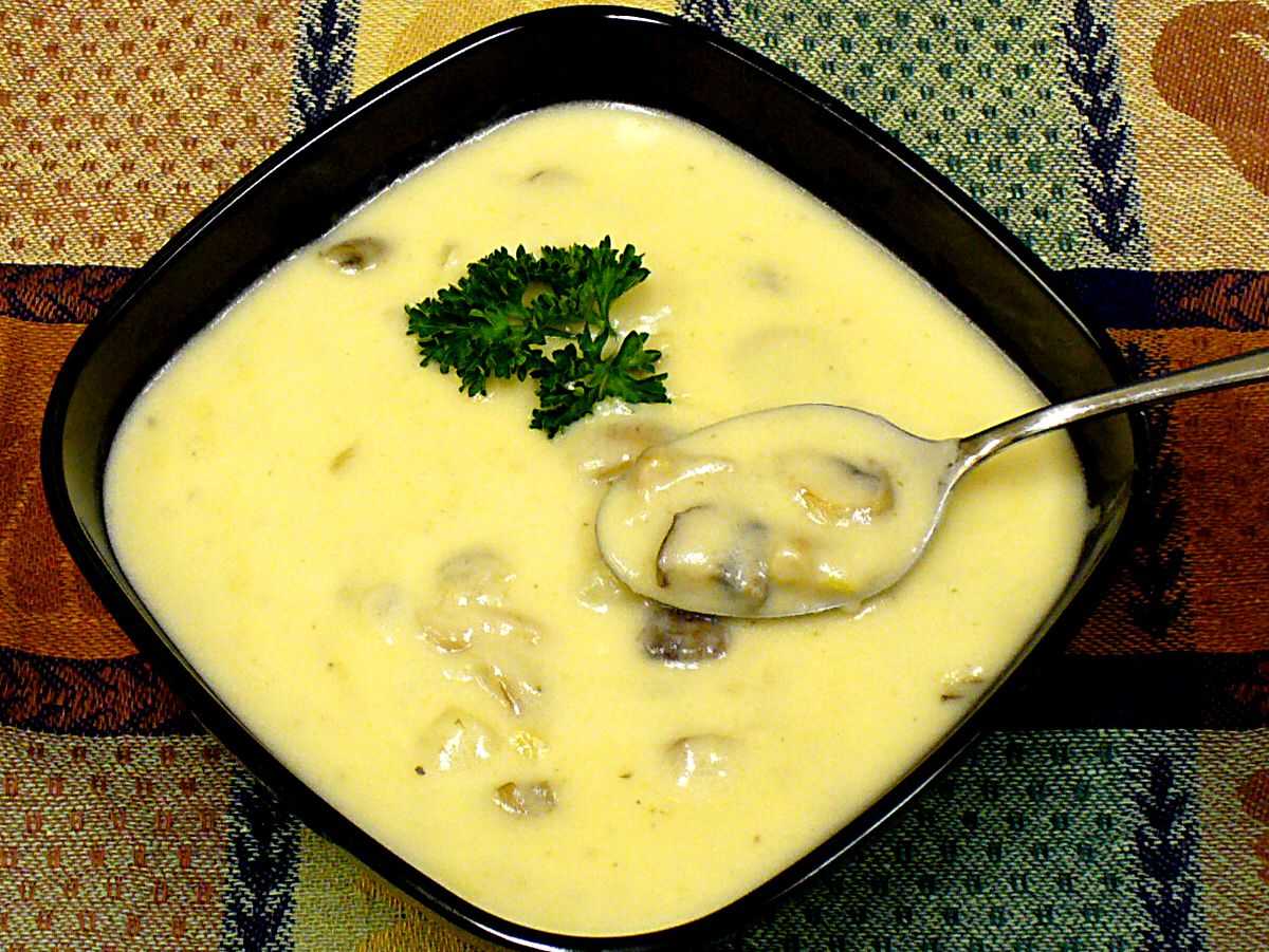 Сырный суп с плавленным сыром и сливками. Грибной суп с плавленым сыром. Грибной суп с плавленным сыром. Суп с грибами и плавленным сыром. Грибной суп пюре с сыром.