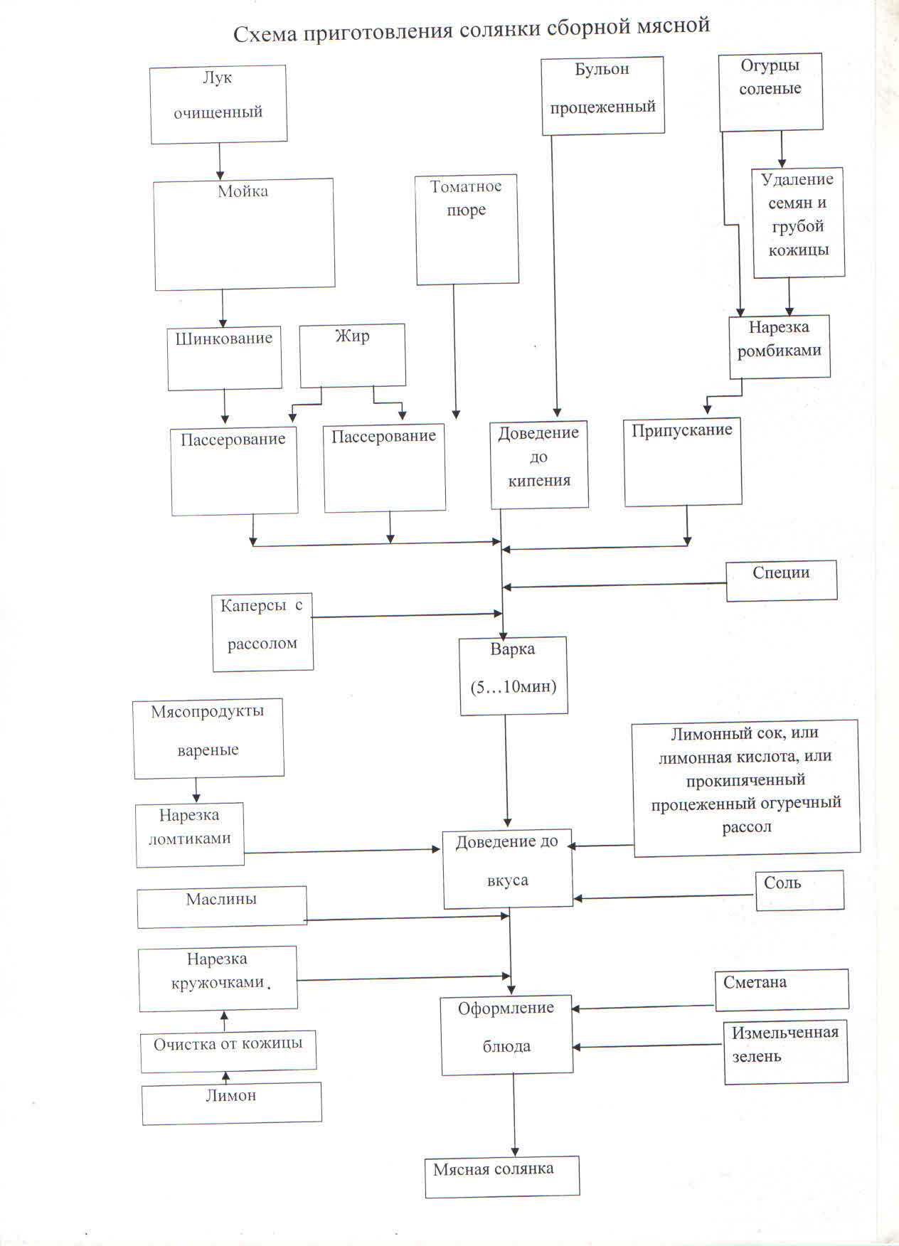 Технологическая схема солянки домашней