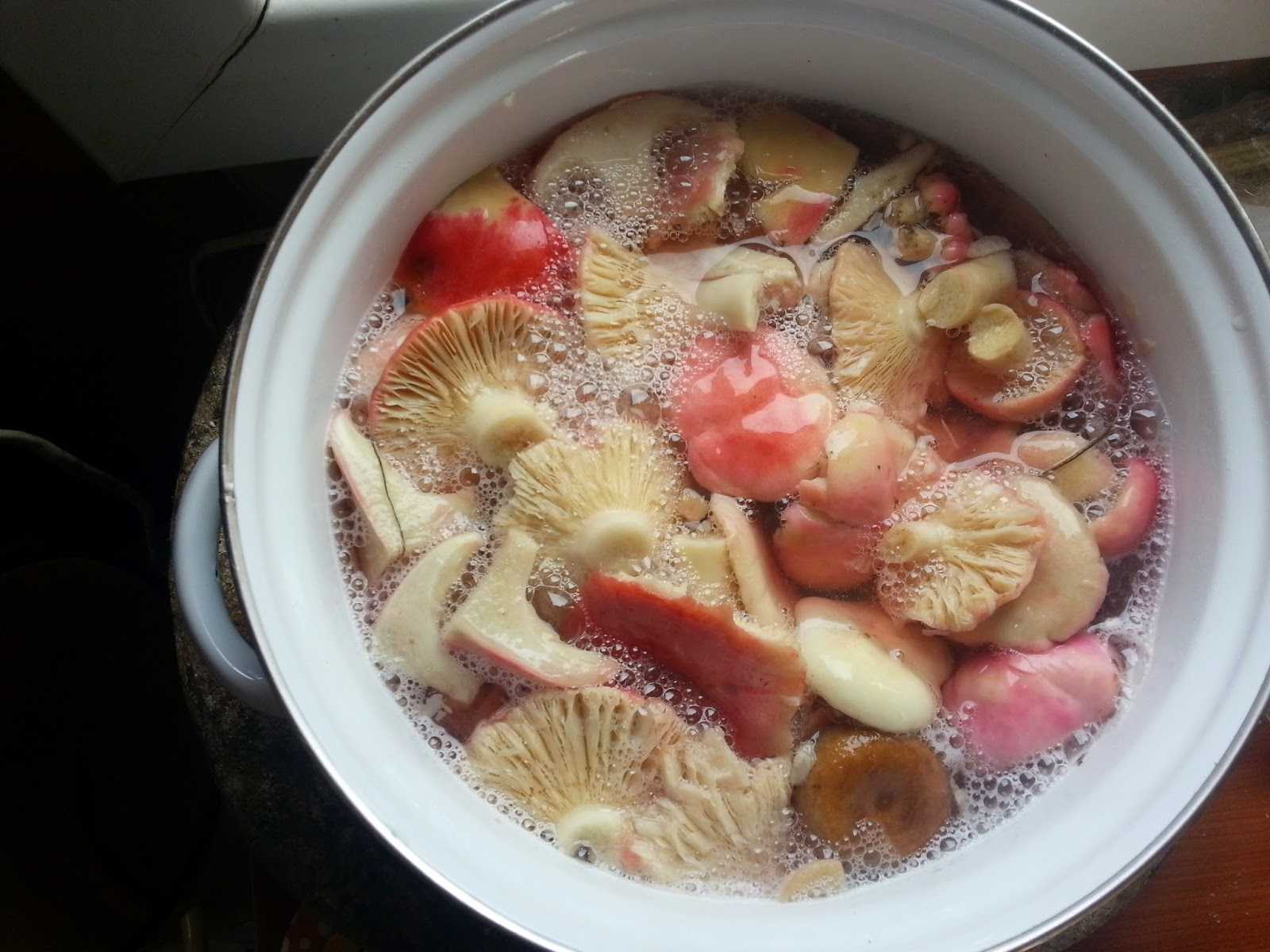 Рецепт вкусного супа из свежих сыроежек - fermerblog1