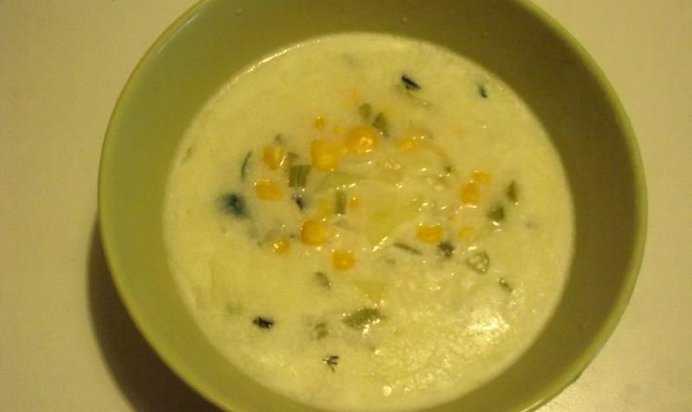 Супы-пюре со сливками: безумно вкусная нежность. лучше авторские рецепты простых и быстрых супов-пюре со сливками - автор екатерина данилова